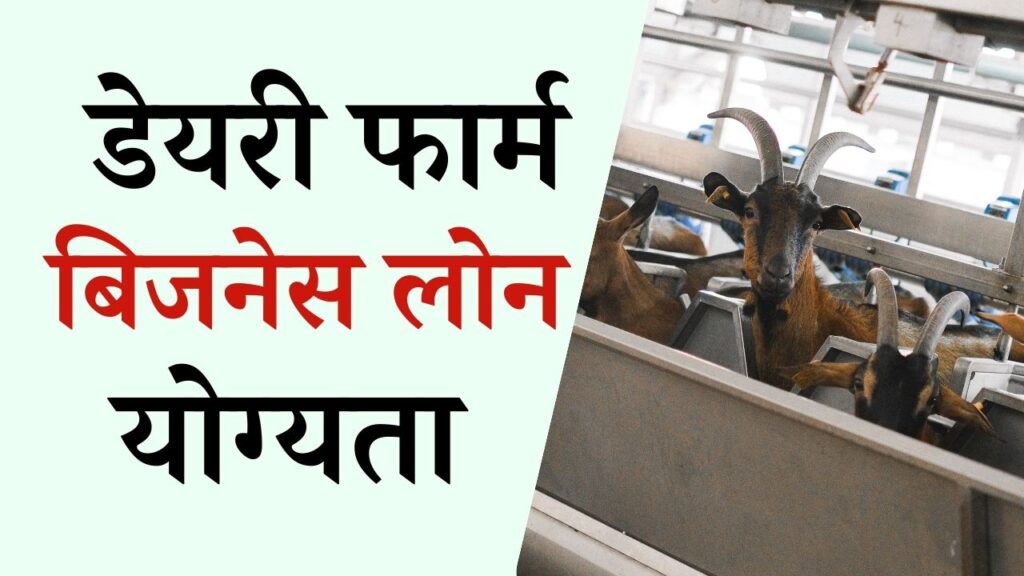 dairy farm business loan yogyata