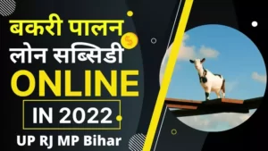 Bakri-palan-loan-subsidy-apply-online-in-up-bihar-rajasthan-bihar