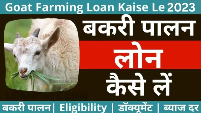 Goat Farming Loan Kaise Le, Bakari palan loan kaise le online process