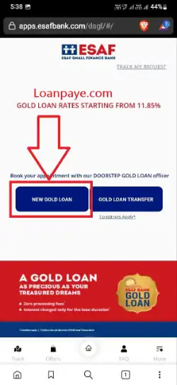 Esaf gold loan apply (4)